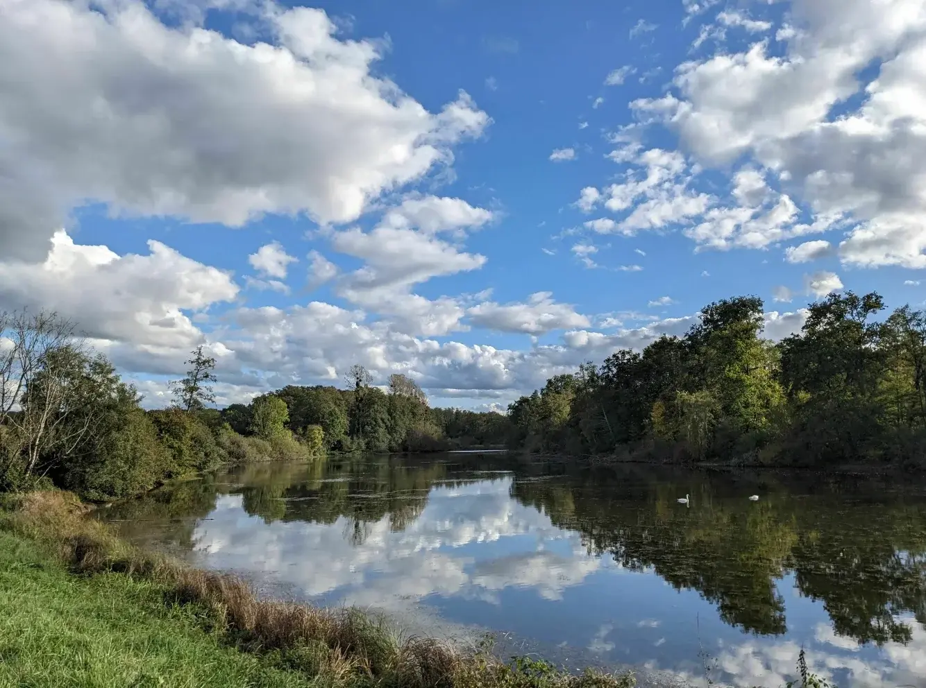 Etang de Vaudrey