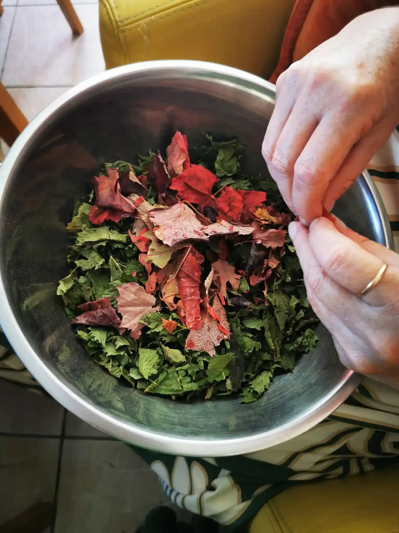 Des mains trient des feuilles séchées dans une grande bassine en inox